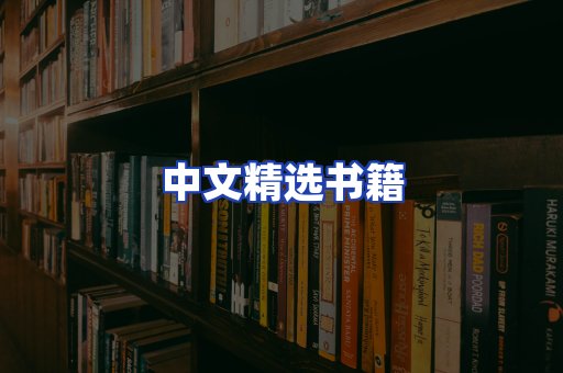 中文精选书籍